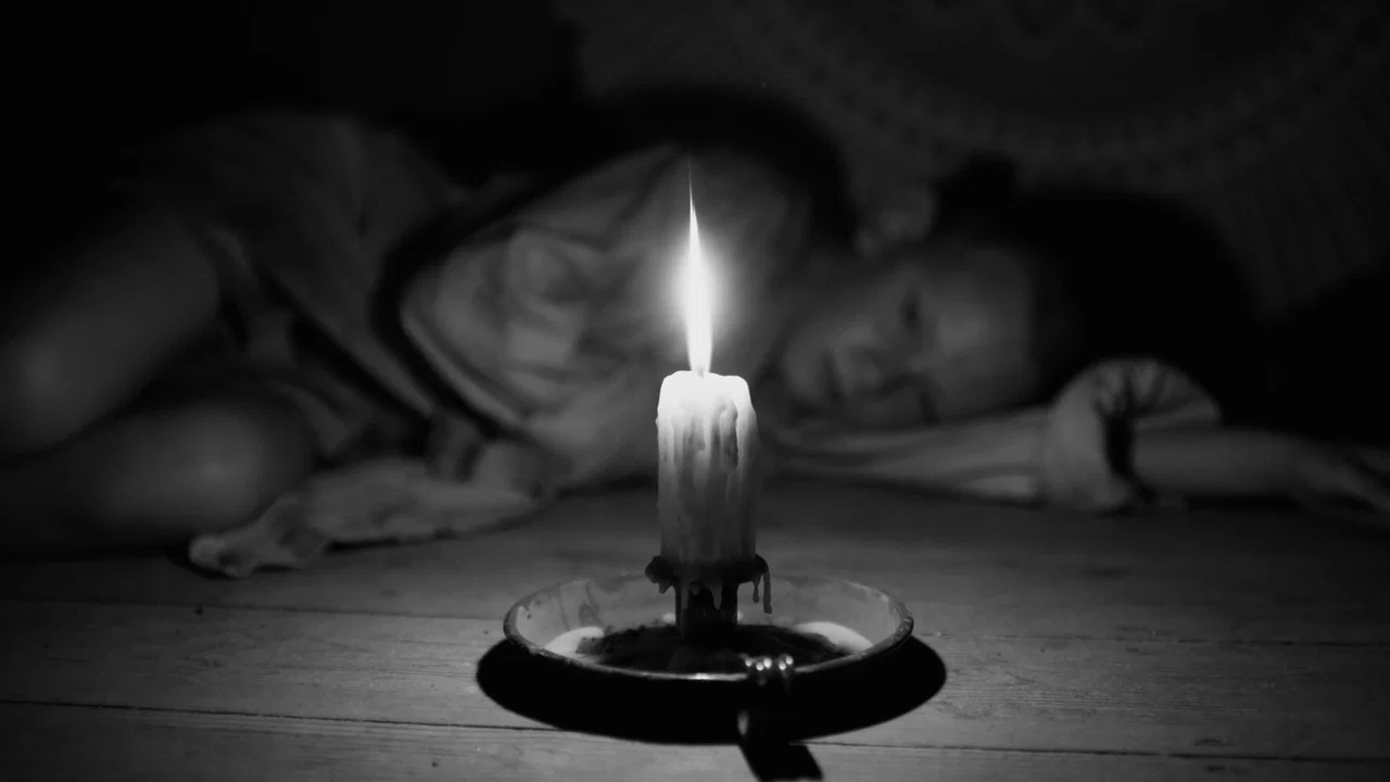 تصویر زمینه مرغ