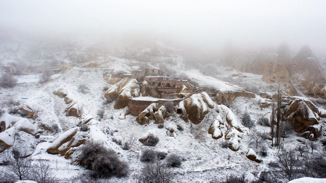 تصویر زمینه خواب زمستانی