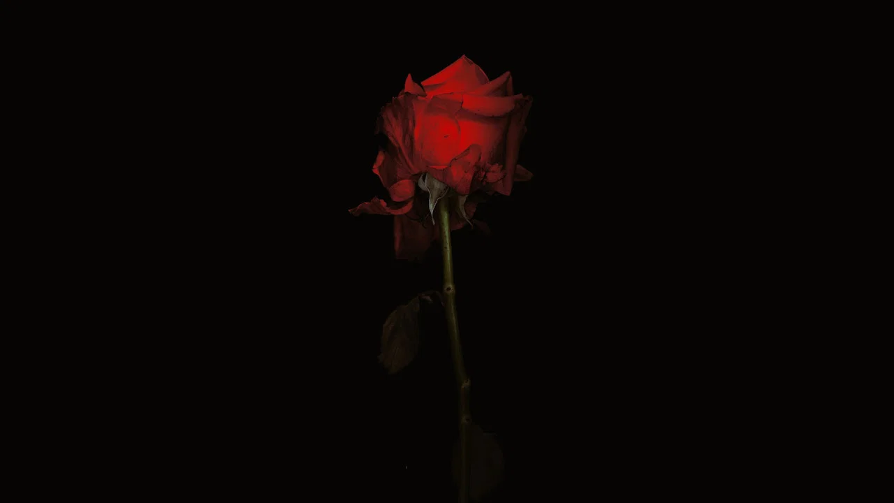 تصویر زمینه اسلو، آگوست