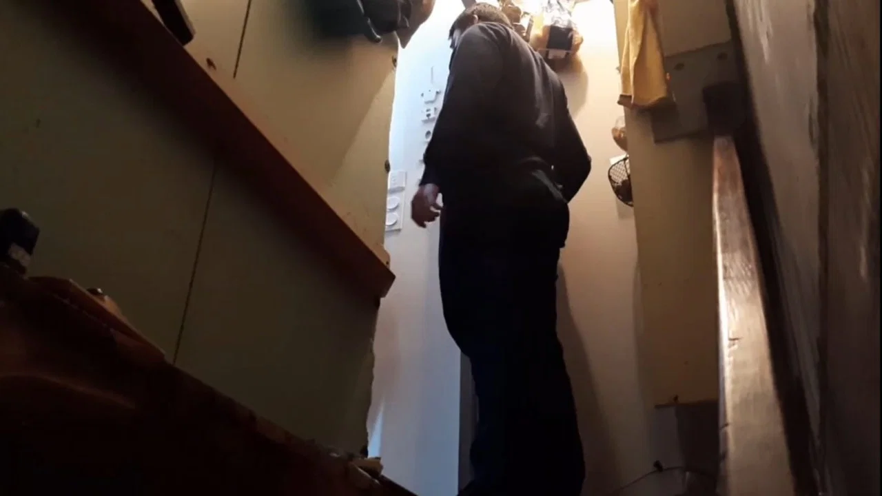 تصویر زمینه جنگل خاموش