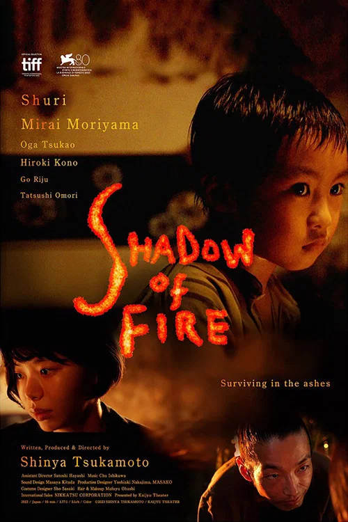 پوستر Shadow of Fire