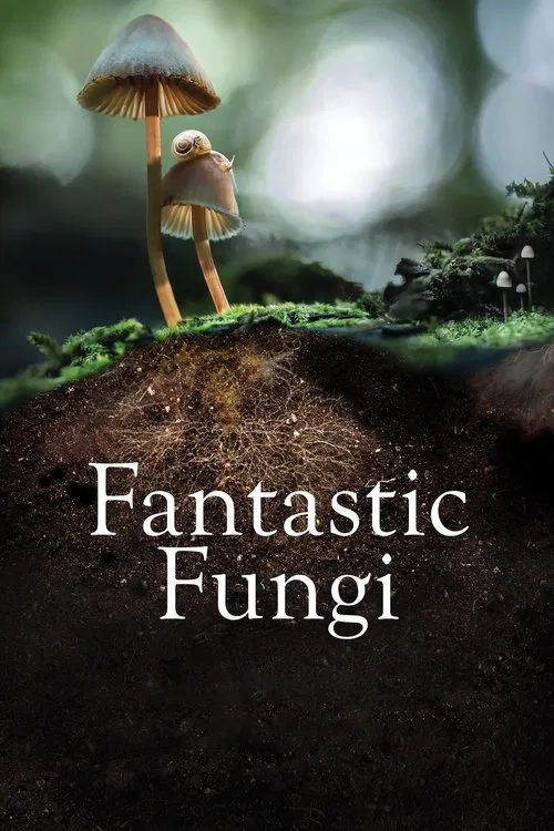 پوستر Fantastic Fungi