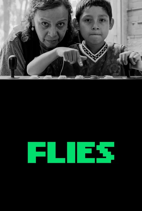 پوستر Flies