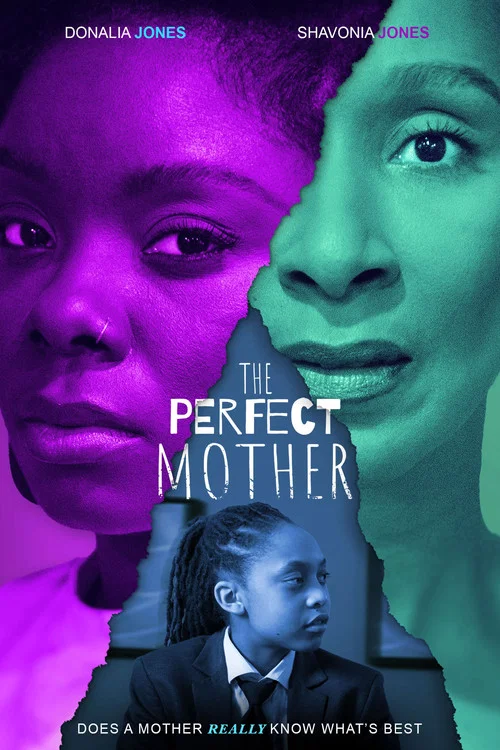 پوستر The Perfect Mother