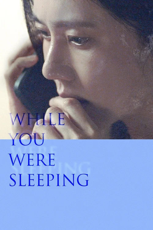 پوستر While You Were Sleeping