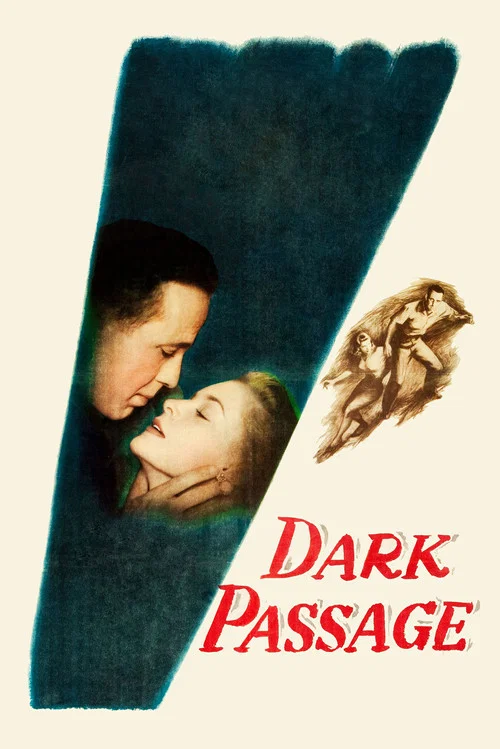 پوستر Dark Passage