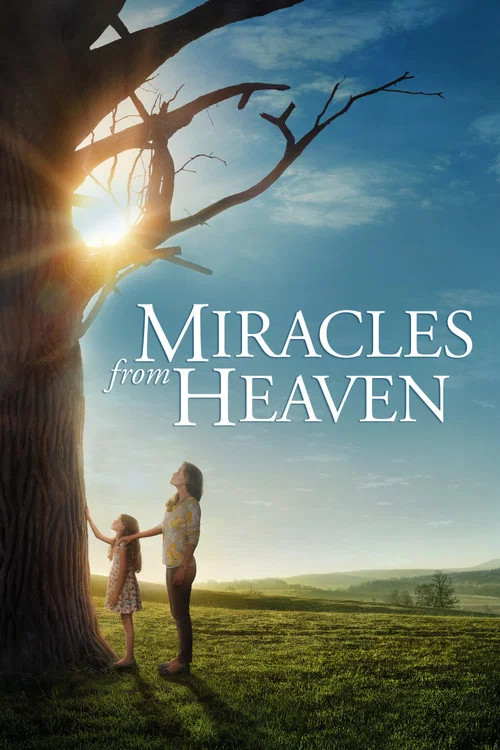 پوستر Miracles from Heaven