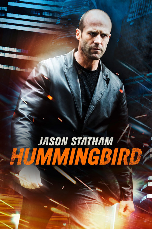پوستر Hummingbird