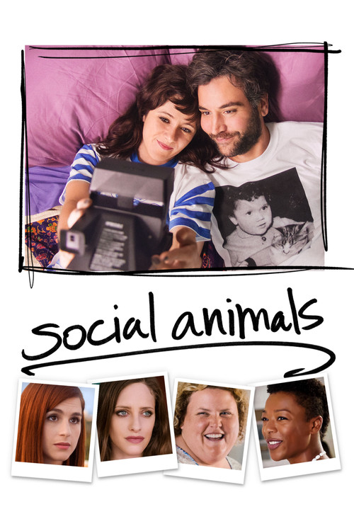 پوستر Social Animals