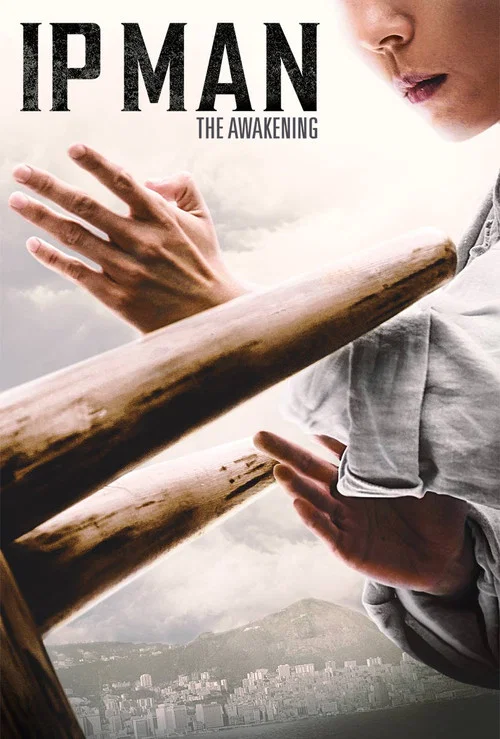 پوستر Ip Man: The Awakening