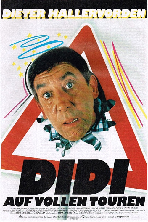 پوستر Didi Drives Me Crazy