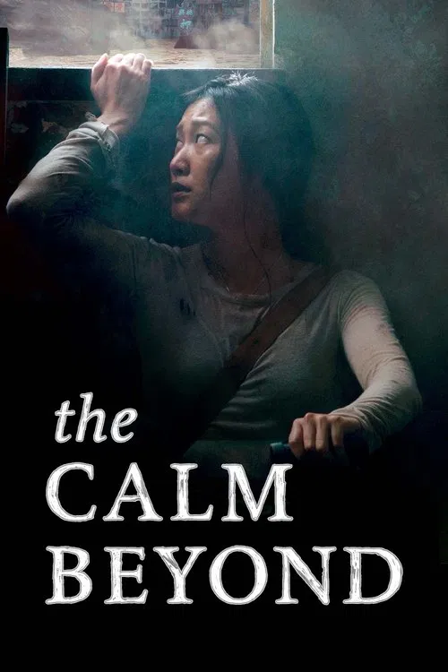 پوستر The Calm Beyond