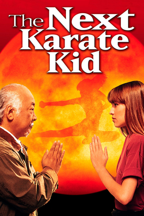 پوستر The Next Karate Kid