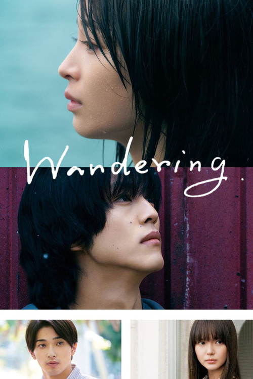 پوستر The Wandering Moon