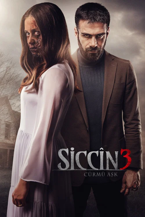 پوستر Sijjin 3: The Forbidden Love