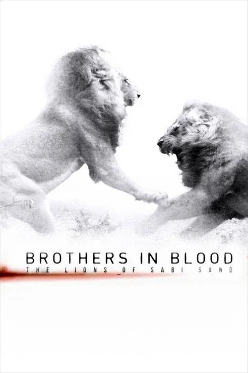 پوستر Brothers in Blood: The Lions of Sabi Sand