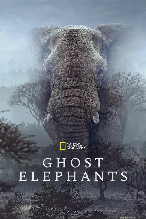 پوستر Ghost Elephants