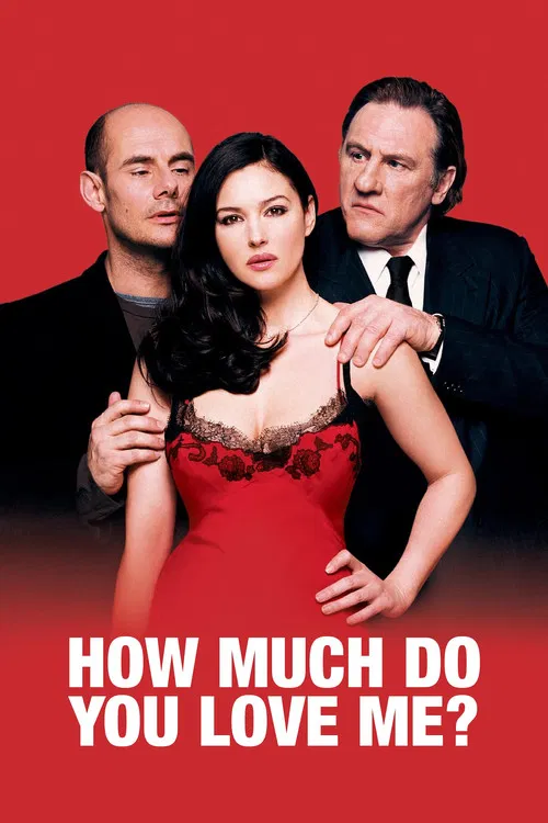 پوستر How Much Do You Love Me?