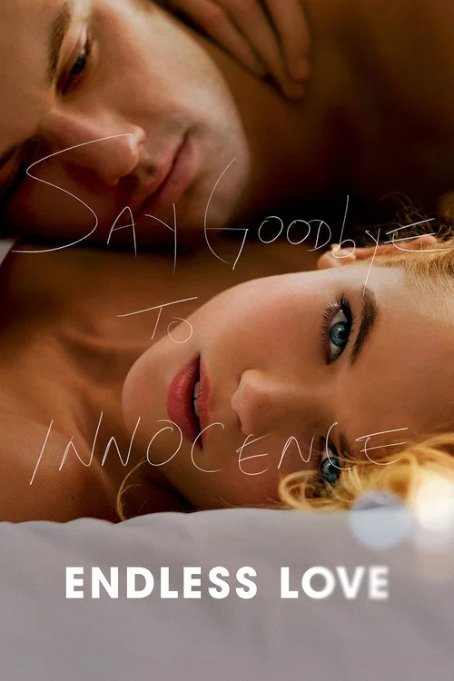 پوستر Endless Love