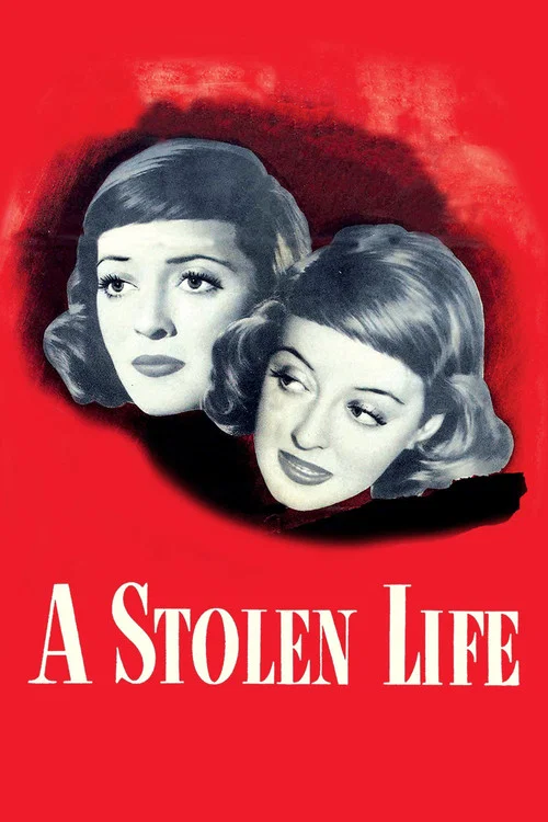 پوستر A Stolen Life