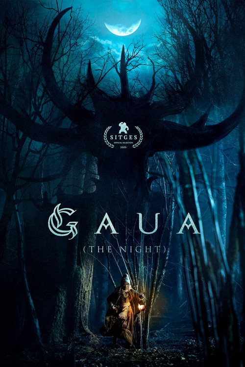 پوستر Gaua (The Night)