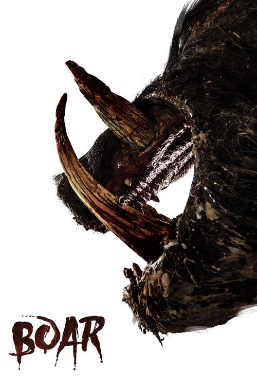 پوستر Boar