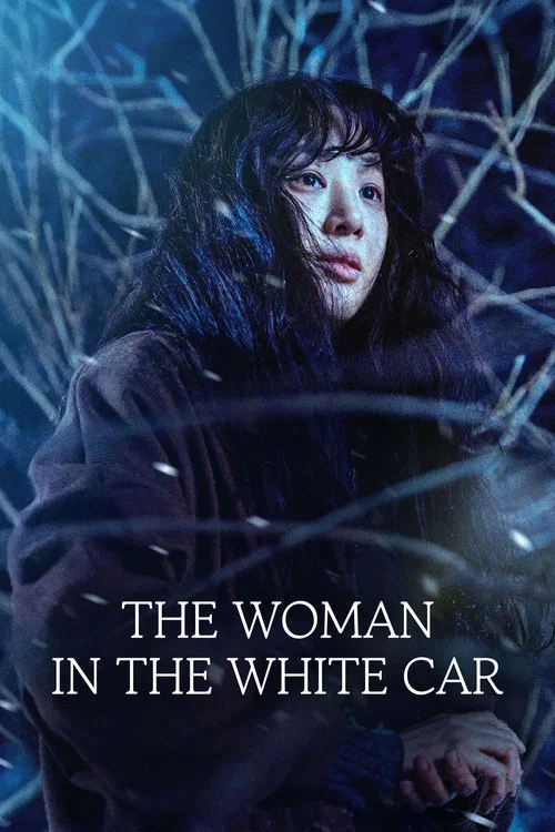 پوستر The Woman in the White Car