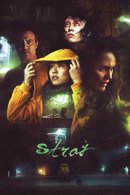 پوستر Stray