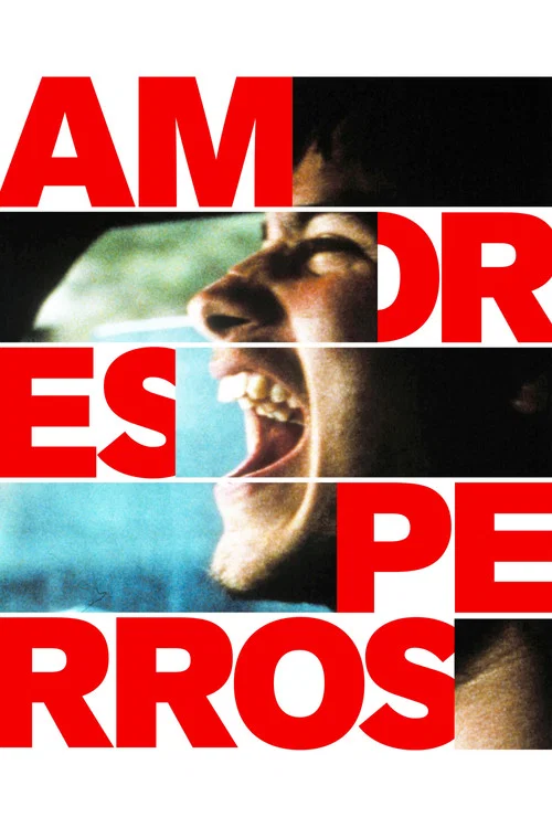پوستر Amores perros