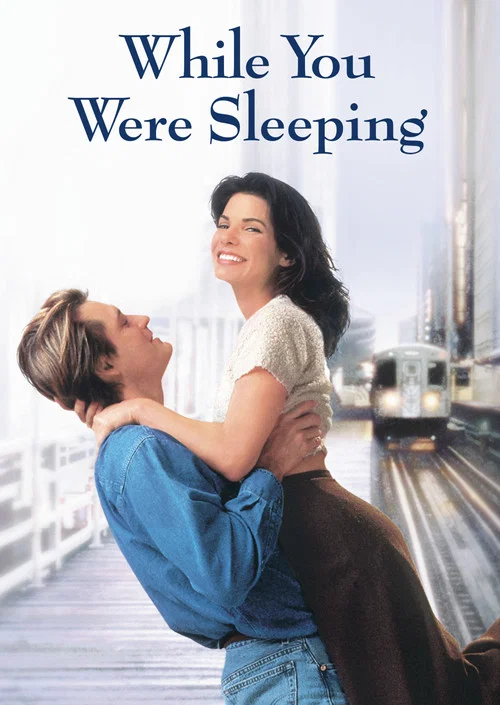 پوستر While You Were Sleeping