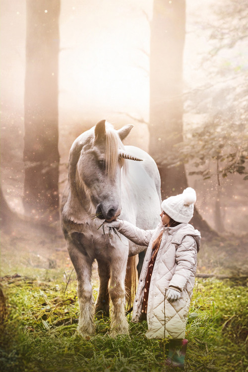 پوستر Tale of the Forest Unicorn
