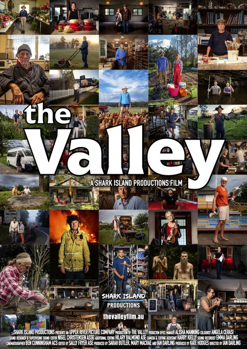 پوستر The Valley