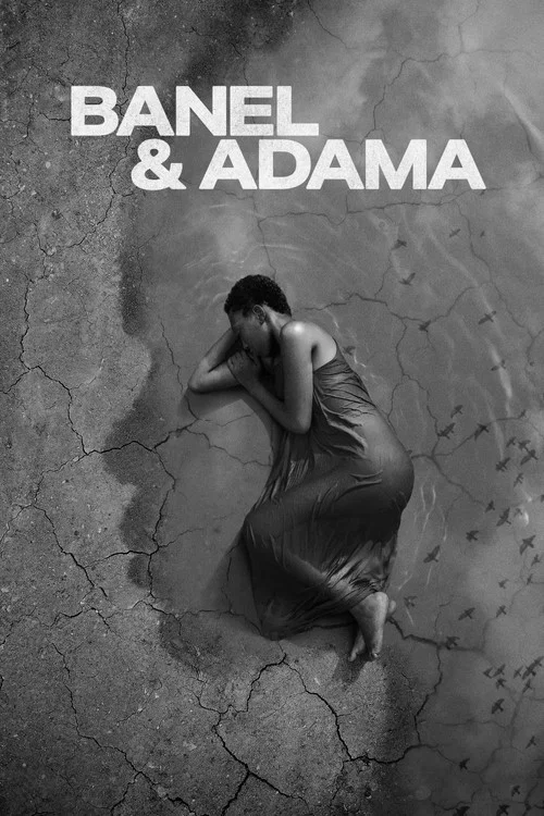 پوستر Banel & Adama