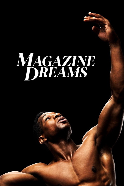 پوستر Magazine Dreams