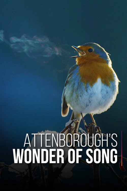 پوستر Attenborough's Wonder of Song