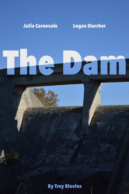 پوستر The Dam