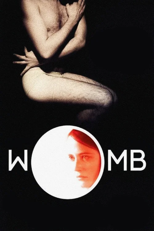 پوستر Womb