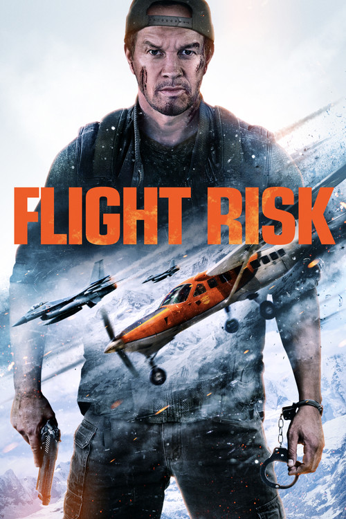 پوستر Flight Risk