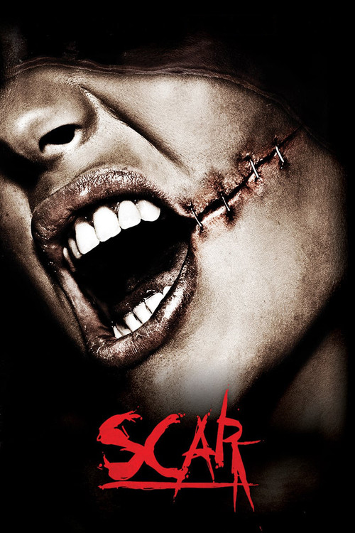 پوستر Scar