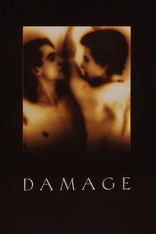 پوستر Damage