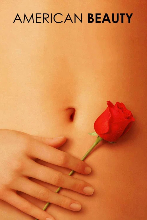 پوستر American Beauty