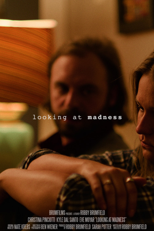 پوستر Looking at Madness