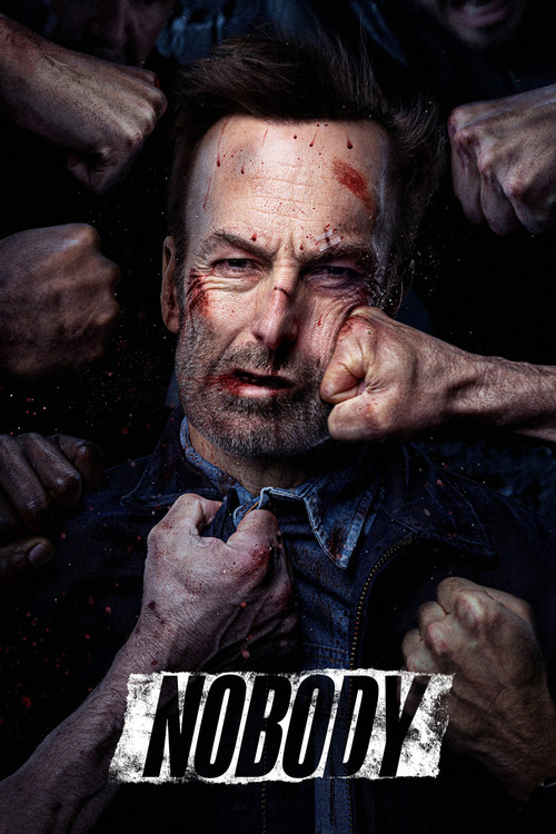 پوستر Nobody
