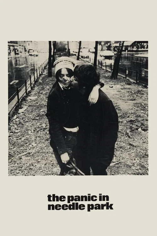 پوستر The Panic in Needle Park