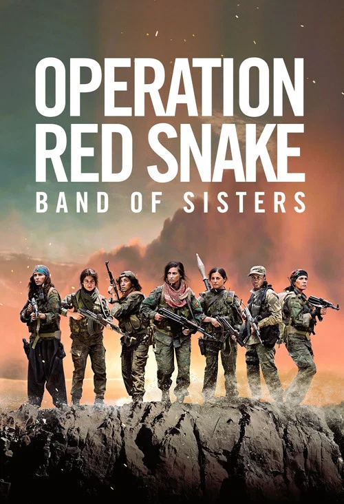 پوستر Sisters in Arms