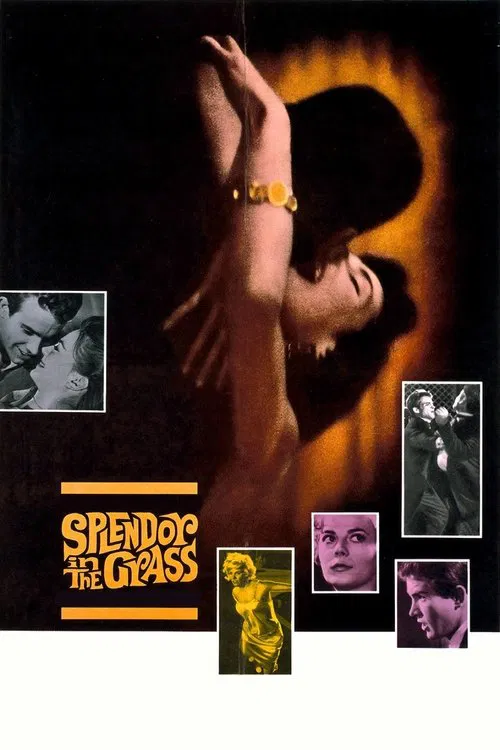 پوستر Splendor in the Grass