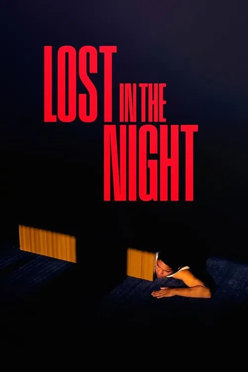 پوستر Lost in the Night