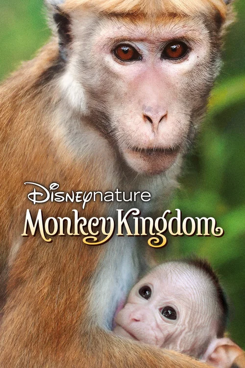 پوستر Monkey Kingdom