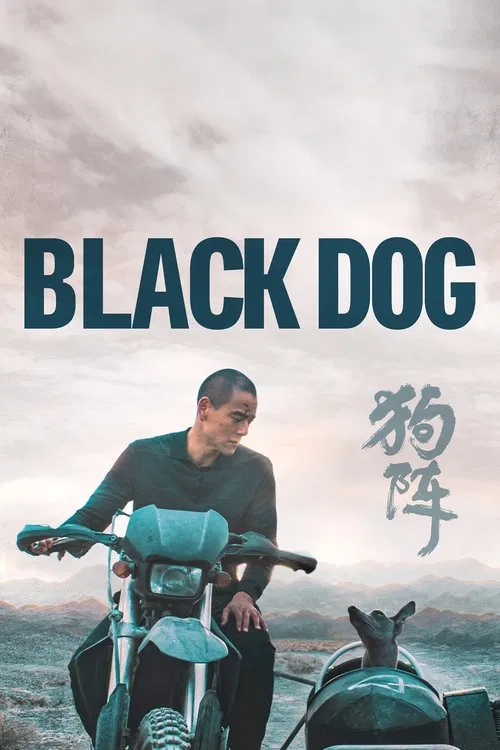 پوستر Black Dog