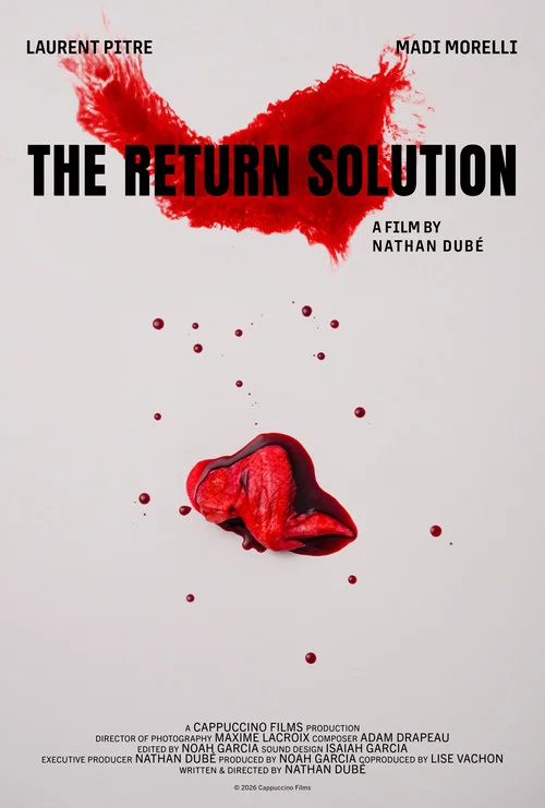 پوستر The Return Solution